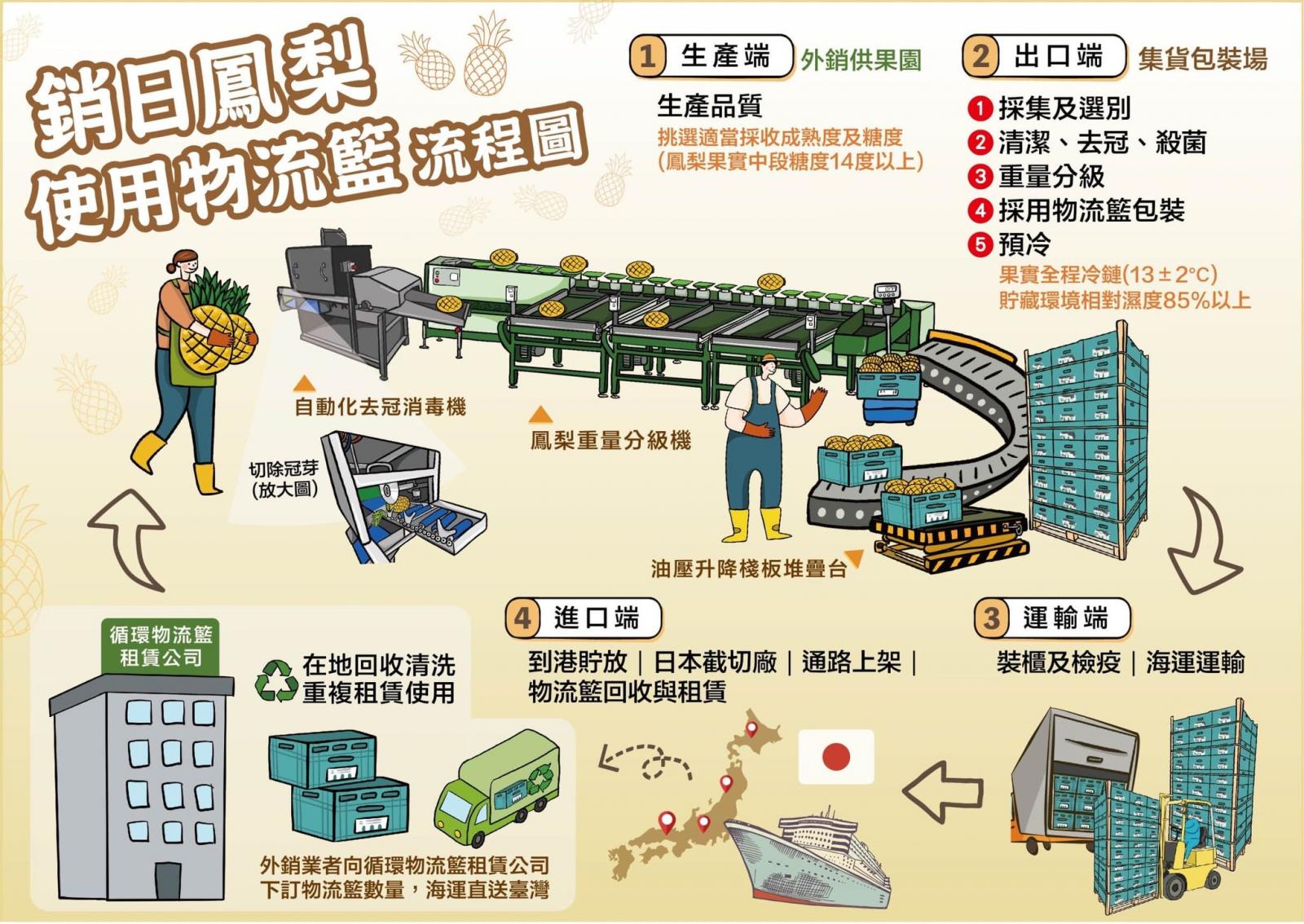 A graphic depiction of the use of reusable shipping baskets to export pineapples to Japan.