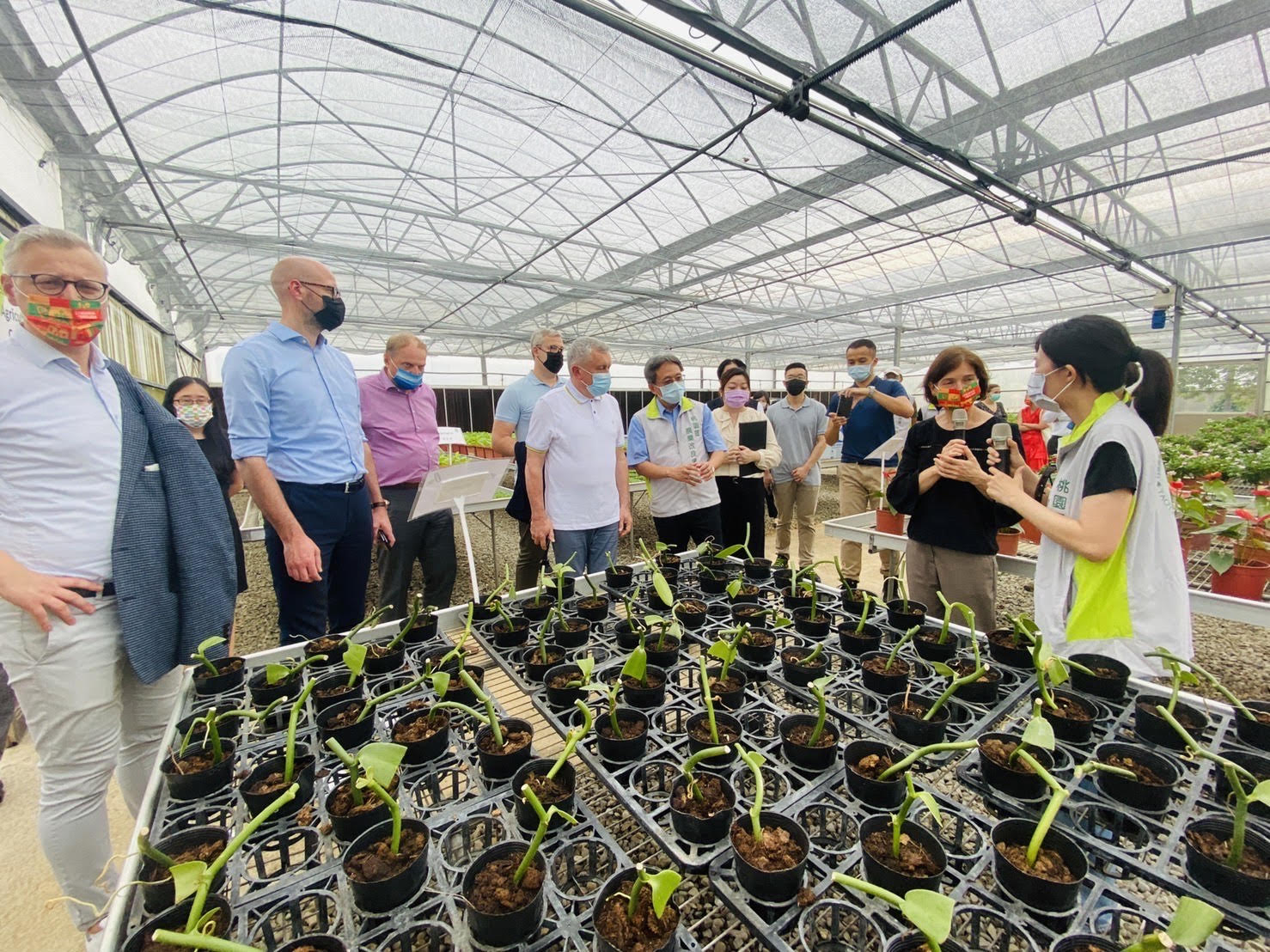 Visiting the Taoyuan District Agricultural Research and Extension Station.